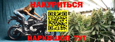 шишки Владивосток