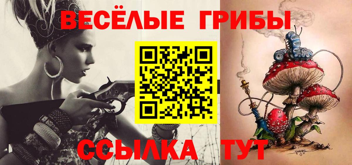 Псилоцибиновые грибы мухоморы Ногинск