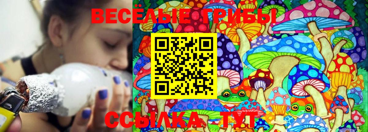 Псилоцибиновые грибы прущие грибы  Псилоцибиновые грибы GOLDEN TEACHER  Ногинск  Вход с VPN 